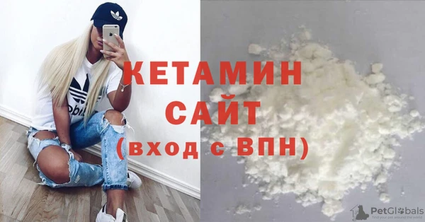 сатива Армянск