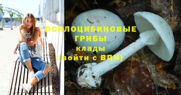 сатива Армянск
