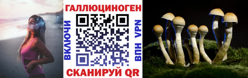Псилоцибиновые грибы Cubensis  omg рабочий сайт  Островной 